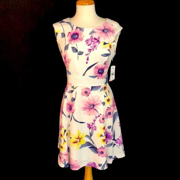 NWT Sandra Darren Ivory Floral Dress - Picture 2 of 5